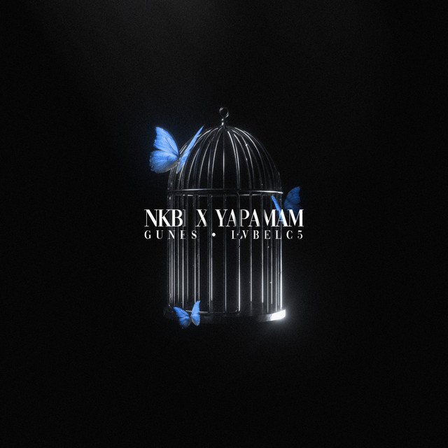 کاور آهنگ NKBİ X YAPAMAM - Remix از Lvbel C5, Gunes