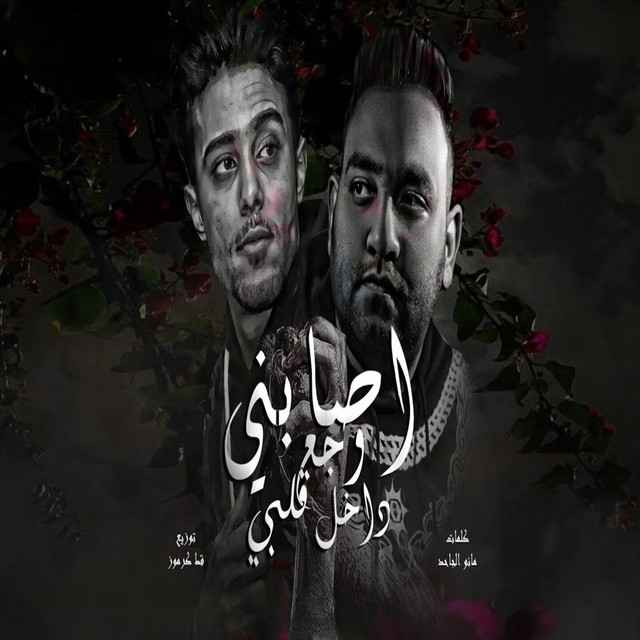 کاور آهنگ اصابني وجع داخل قلبي فهدني " ( حبيبتي ازيك و ازاي حبيبك بقا ) از Mody Amin, Halakolo