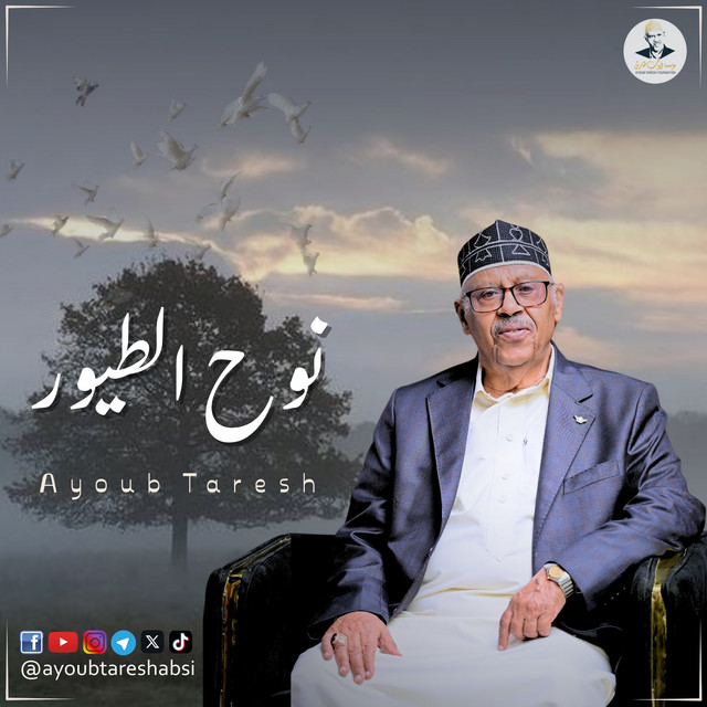 کاور آهنگ Nuh al-Tuyur - Oud از Ayoub Taresh