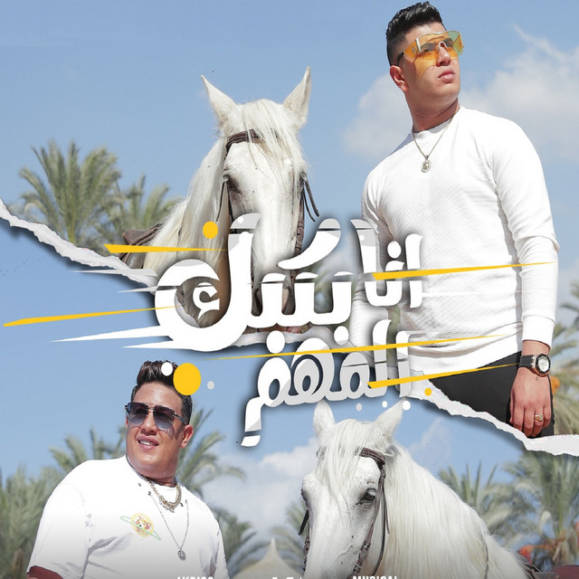 کاور آهنگ انا بكبك المهم از Hamo Bika, Nour el Tot