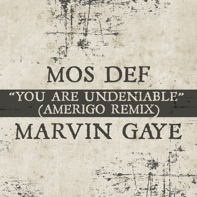 کاور آهنگ You Are Undeniable - Amerigo Remix از Marvin Gaye, Mos Def