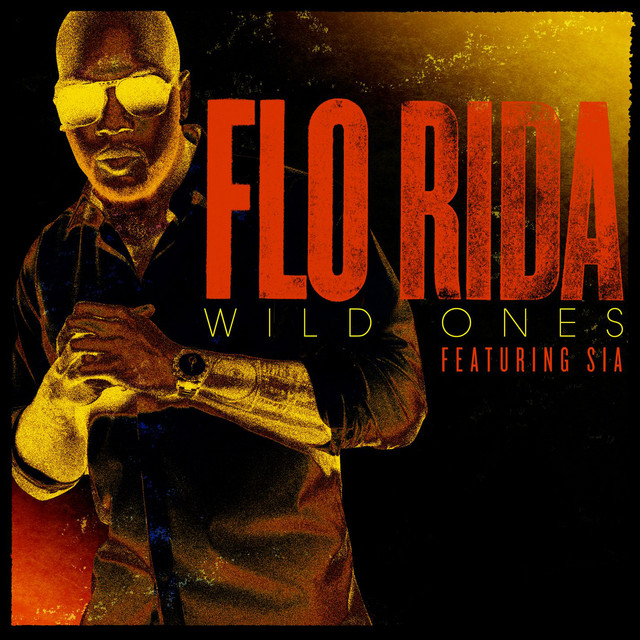 کاور آهنگ Wild Ones (feat. Sia) از Sia, Flo Rida