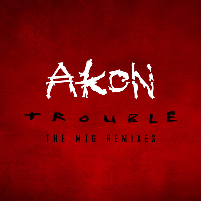 کاور آلبوم Trouble: The MTG Remixes از Akon, HITMAKER