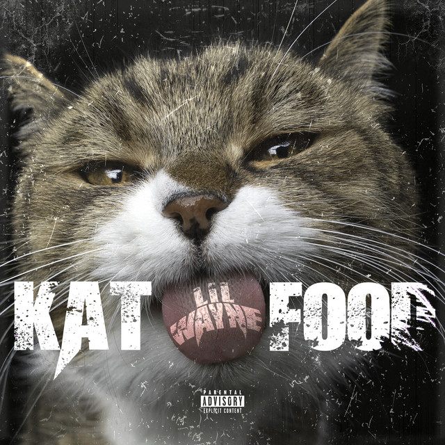 کاور آهنگ Kat Food از Lil Wayne