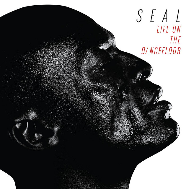 کاور آهنگ Life on the Dancefloor از Seal