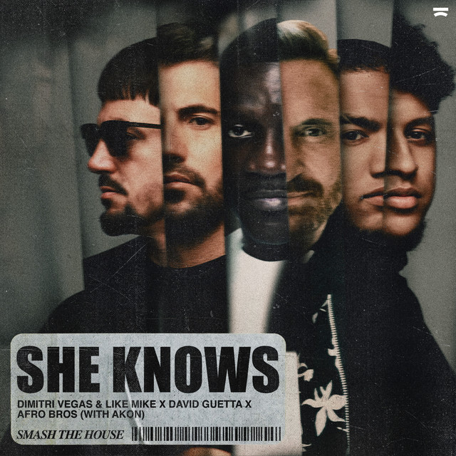 کاور آهنگ She Knows - with Akon از David Guetta, Akon, Dimitri Vegas, Dimitri Vegas & Like Mike, Afro Bros