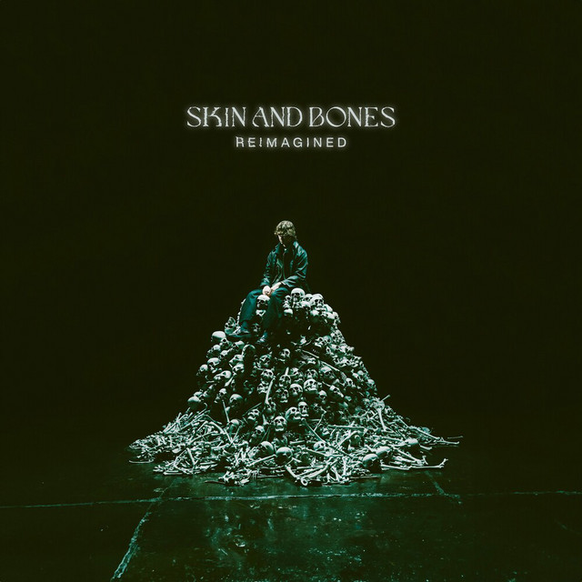 کاور آلبوم Skin and Bones (Reimagined) از David Kushner