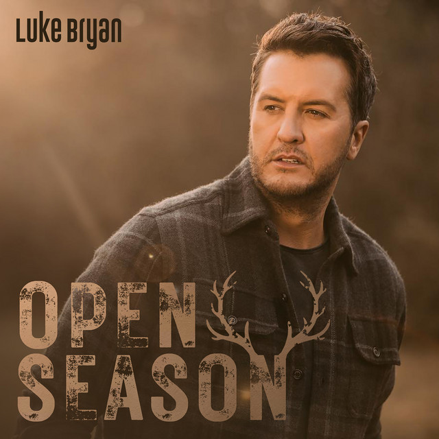 کاور آهنگ Blood Brothers از Luke Bryan