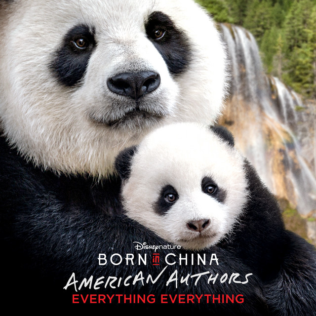 کاور آهنگ Everything Everything - From "Born in China" از American Authors