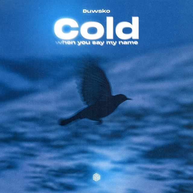 کاور آهنگ Cold (When You Say My Name) از Duwsko