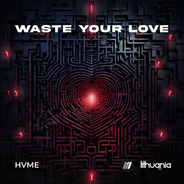 کاور آهنگ Waste Your Love از HVME