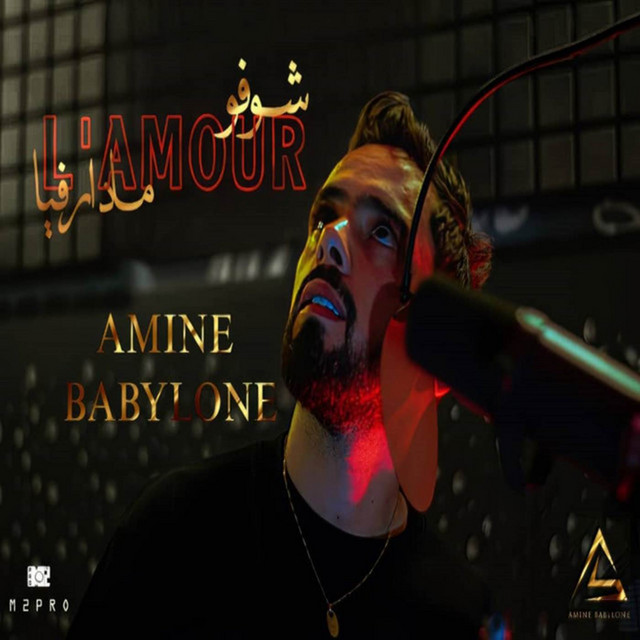 کاور آهنگ مادار فيا L'amour شوفو از Babylone
