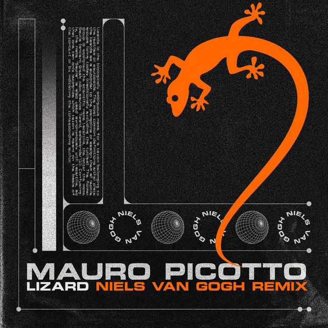 کاور آهنگ Lizard (Niels Van Gogh Remix) از Mauro Picotto, Niels Van Gogh