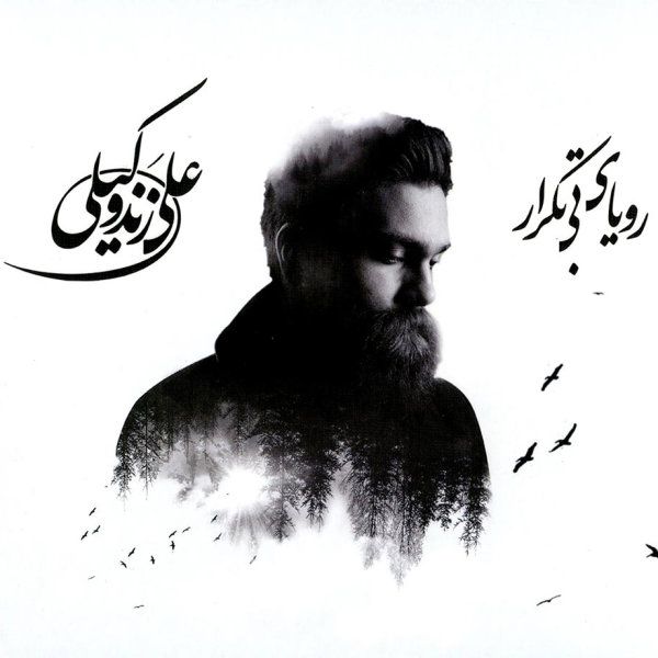 کاور آلبوم رویای بیتکرار از علی زندوکیلی