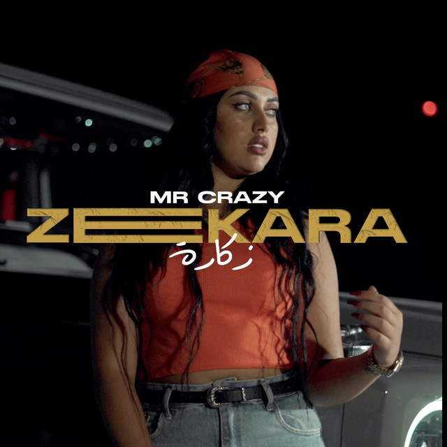 کاور آهنگ ZEKARA از Mr. Crazy