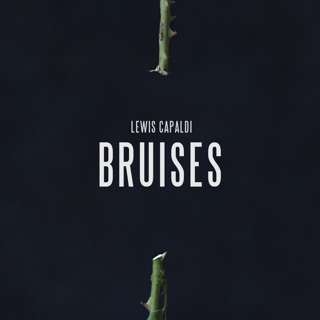 کاور آهنگ Bruises از Lewis Capaldi