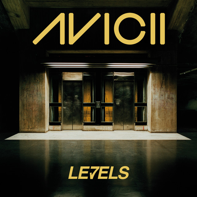 کاور آهنگ Levels - Instrumental از Avicii