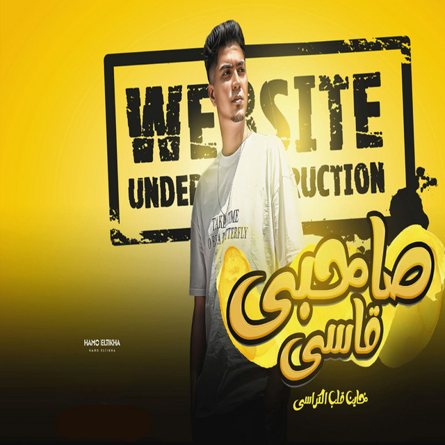 کاور آهنگ صاحبى قاسى از Hamo ElTikha
