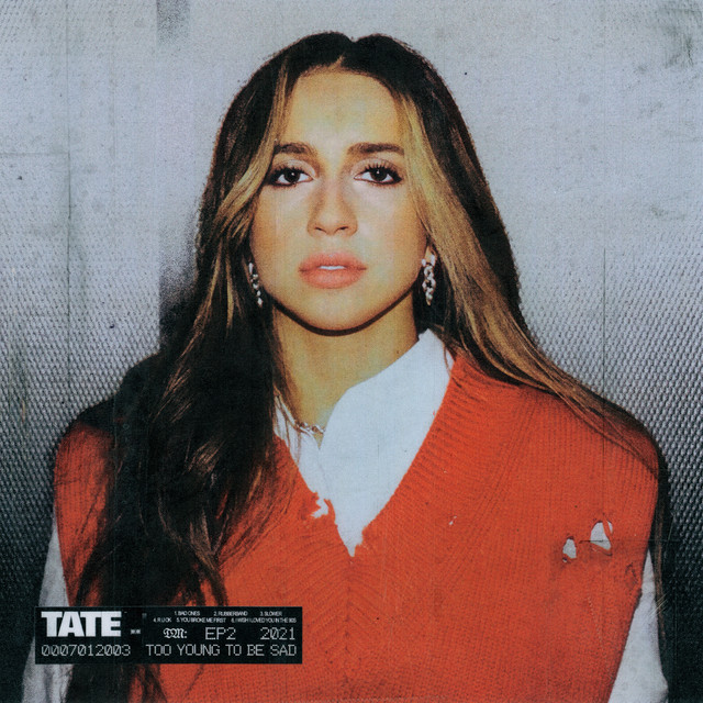کاور آهنگ bad ones از Tate McRae