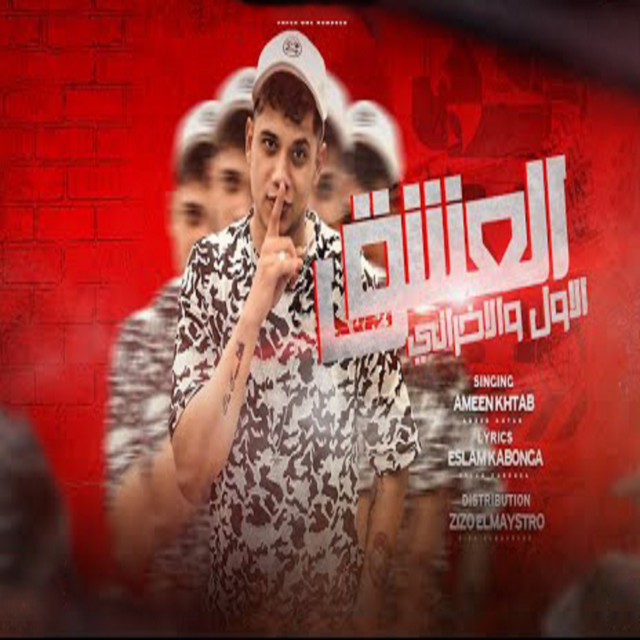 کاور آهنگ العشق الاول و الاخرانى از Ameen Khattab