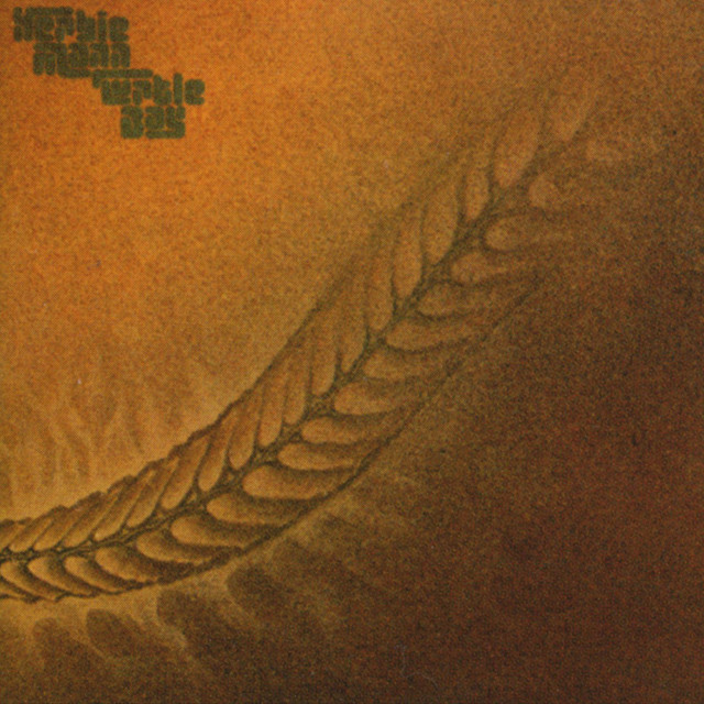 کاور آلبوم Turtle Bay از Herbie Mann