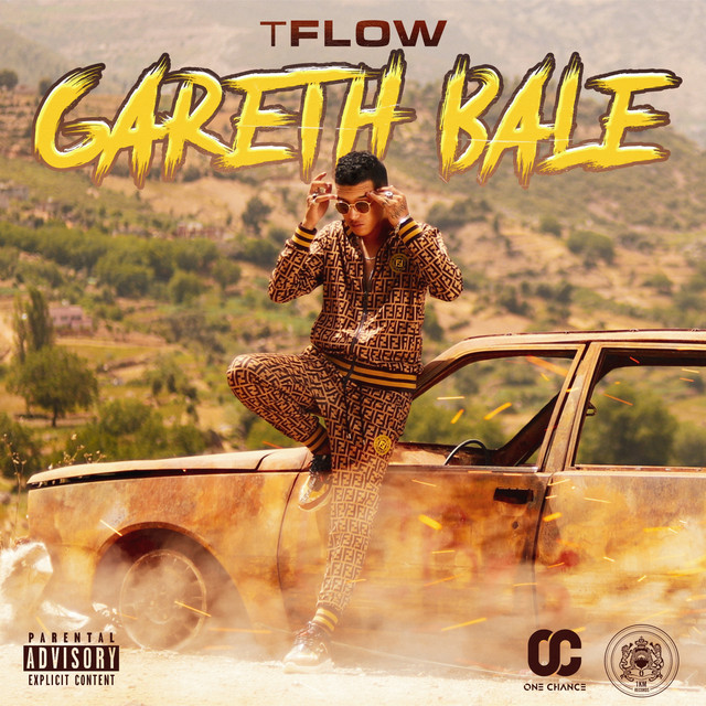 کاور آهنگ Gareth Bale از Tflow