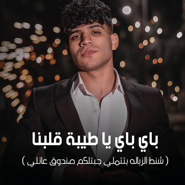 کاور آهنگ باي باي يا طيبة قلبنا ( شنط الزباله بتتملي جبتلكم صندوق عائلي ) از Karim Cristiano