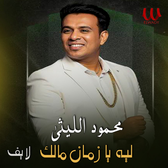 کاور آهنگ ليه يا زمان مالك - لايف از Mahmoud El Leithy
