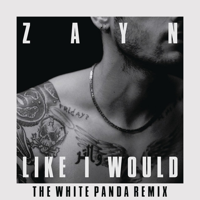 کاور آهنگ LIKE I WOULD - The White Panda Remix از ZAYN, White Panda