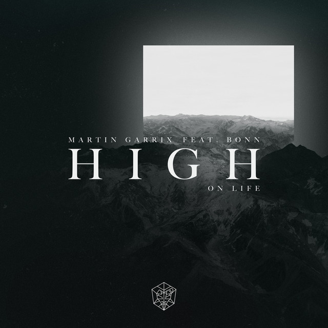 کاور آهنگ High On Life (feat. Bonn) از Bonn, Martin Garrix