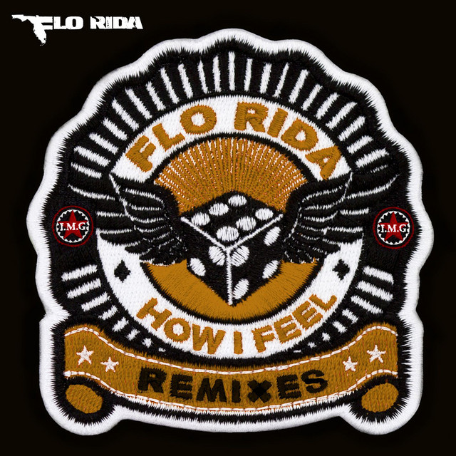 کاور آهنگ How I Feel - Special Features Instrumental Mix از Flo Rida