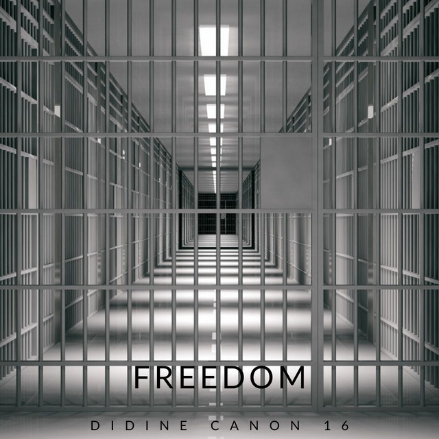 کاور آهنگ Freedom از Didine Canon 16