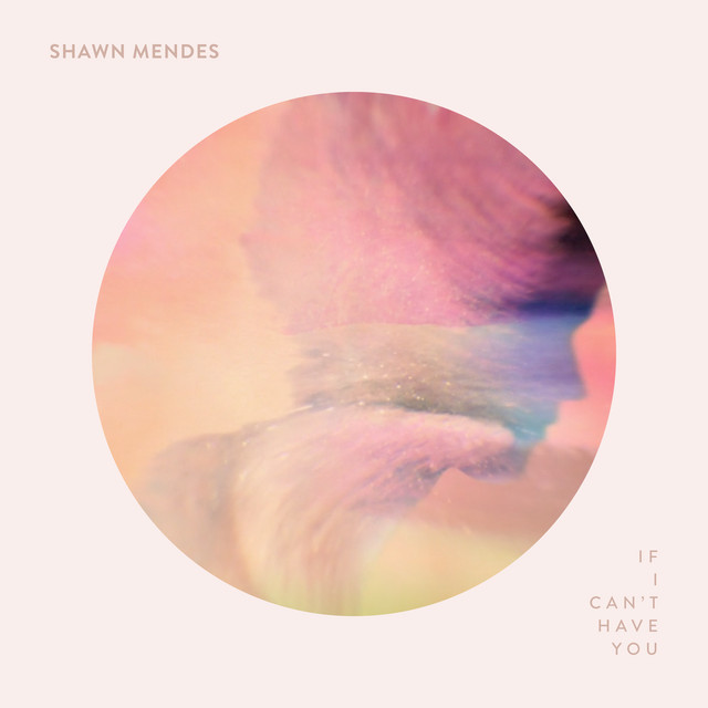 کاور آهنگ If I Can't Have You از Shawn Mendes