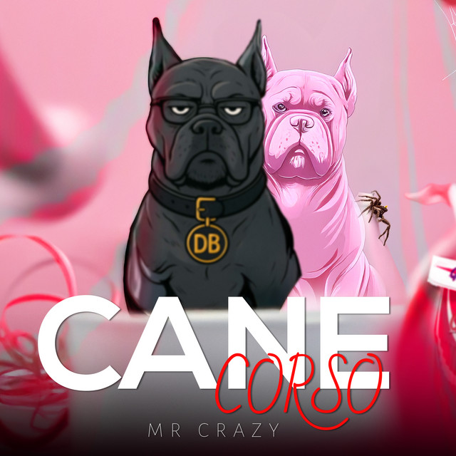 کاور آهنگ CANE CORSO - Disstrack از Mr. Crazy