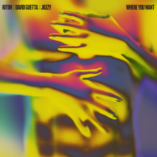 کاور آهنگ Where You Want از David Guetta, Riton, Jozzy
