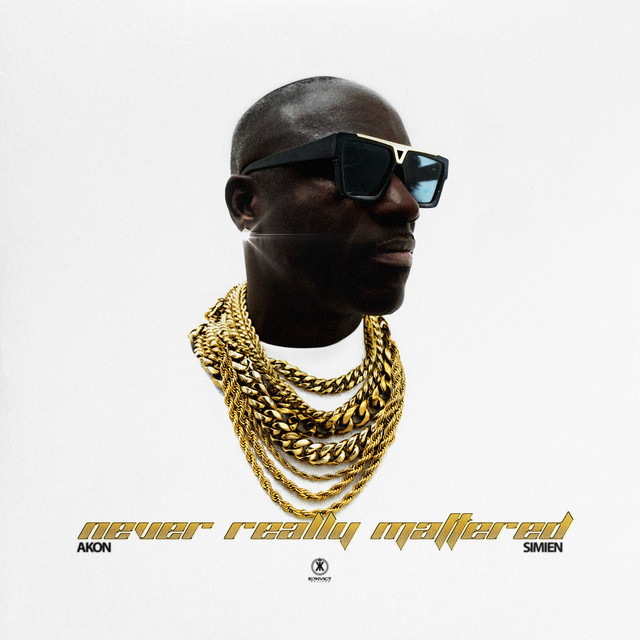 کاور آهنگ Never Really Mattered از Akon, SIMIEN