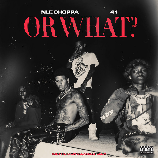 کاور آلبوم Or What (Instrumental / Acapella) از NLE Choppa, Kyle Richh, 41