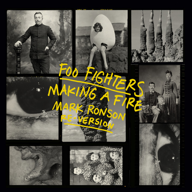 کاور آهنگ Making A Fire - Mark Ronson Re-Version از Mark Ronson, Foo Fighters