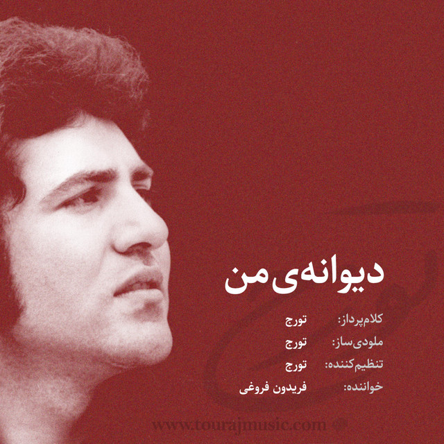 کاور آهنگ دیوانه من از شبانه‌ی دوم