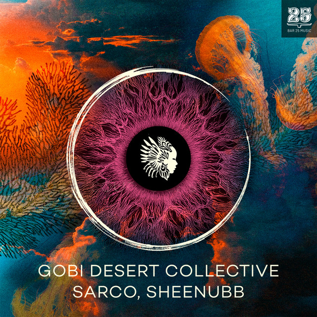 کاور آهنگ قلبی از شیناب, Sounds Of Sirin, Gobi Desert Collective, Sarco