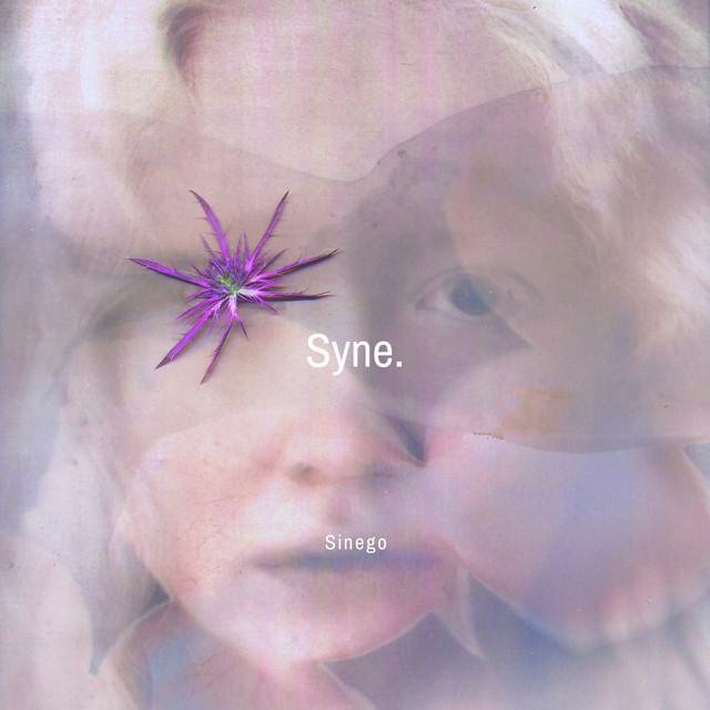 کاور آلبوم Syne از Sinego, Velveta