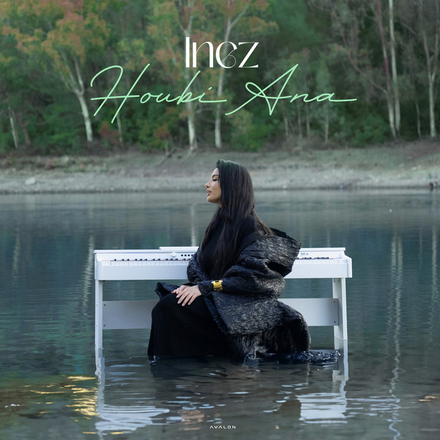 کاور آهنگ Houbi Ana از Inez