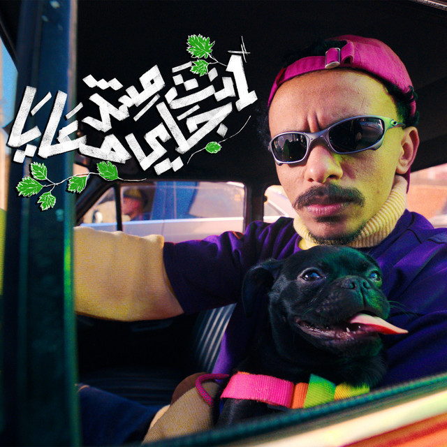 کاور آهنگ انت مش جي معايا از Kozbara