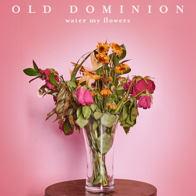کاور آلبوم Water My Flowers از Old Dominion