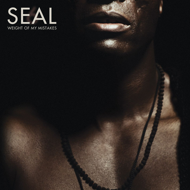 کاور آهنگ Weight of My Mistakes - Radio Mix از Seal