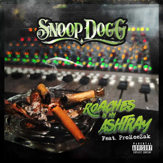 کاور آهنگ Roaches In My Ashtray از Snoop Dogg, Prohoezak