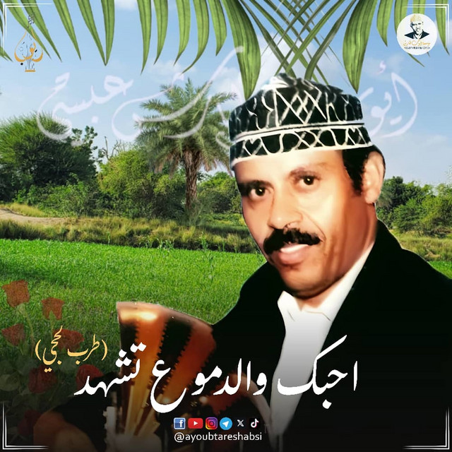 کاور آهنگ ahibbuk wa al-dumu' tashhad از Ayoub Taresh