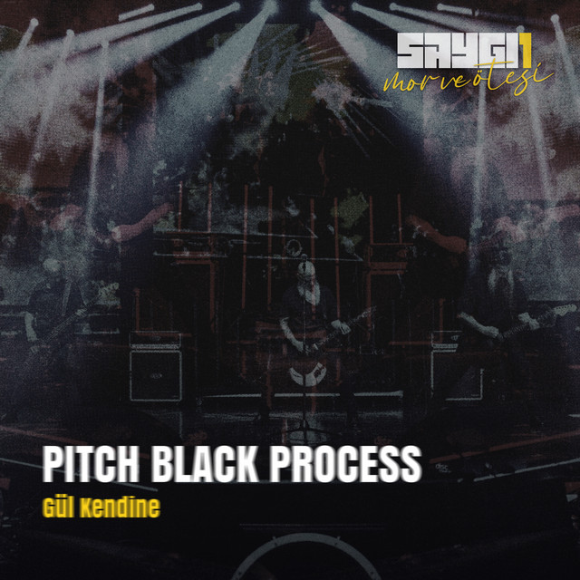 کاور آهنگ Gül Kendine - Saygi1 از mor ve otesi, Pitch Black Process