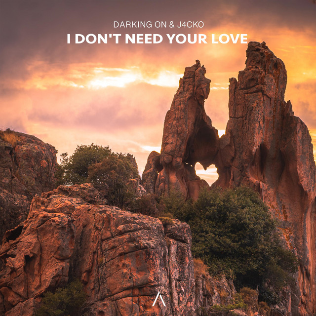 کاور آهنگ I Don't Need Your Love از Darking On, J4CKO