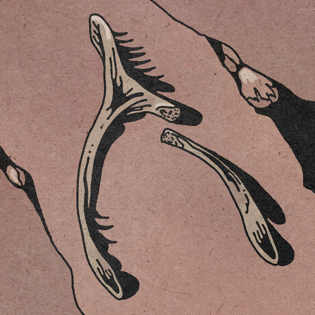 کاور آلبوم Bones از Janus Rasmussen